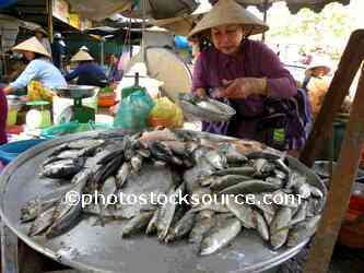 Woman Selling Fish