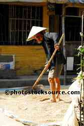 Old Man Raking Rice