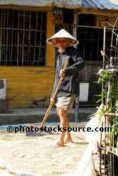 Old Man Raking Rice