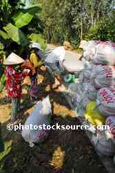 People Weighing Rice Bags