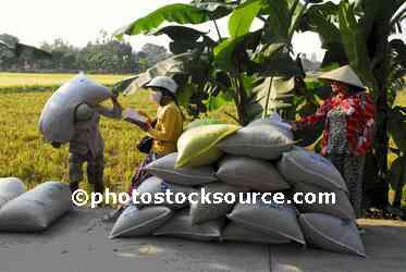 People With Rice Bags