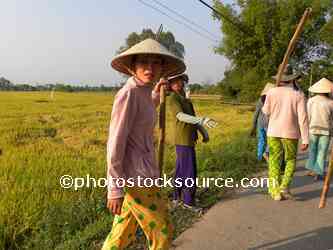 Workers Walking on Path
