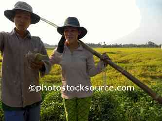 Workers With Tools