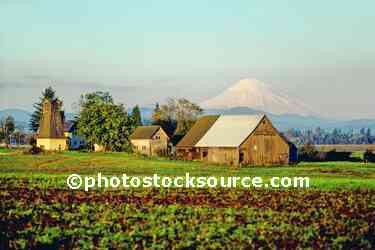 Mt. St. Helens
